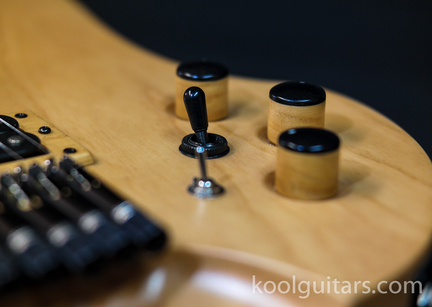 koolguitars, kool guitars, oud, oud elettrico, fretlessguitar